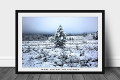 Snowy Pine Tree Photography Print: Wyoming Rocky Mountains Winter Forest Photo