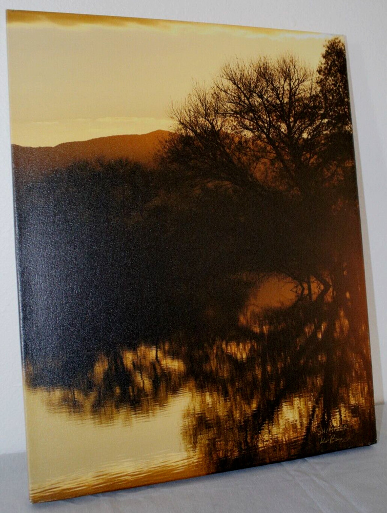 «Shimmer» 16″ x 20″ Sunset Landscape Photo Canvas Print by Kim Barry