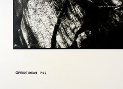 Geir Jordahl Original Photograph from Yosemite, beautiful and dramatic scene