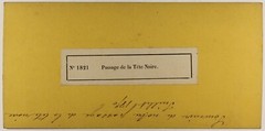 Passage Of The Tête-noir Switzerland c1865 Photo Brown Stereo Vintage Album