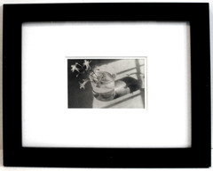 STILL LIFE SALE Connecticut Photo NELL DORR ‘Glass Arrangement’ 4.5″ x 6.5″