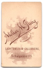 Photograph M. Jung, Lichtenstein-Callnberg, Schulgasse 175, portrait of a young