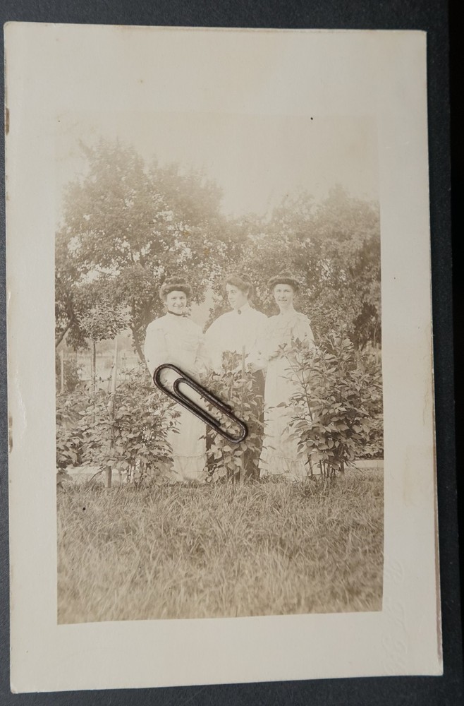 Photo Portrait Young Housewives Servants Model Garden Dress Plants Flower Old