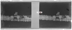 Lyon, Bellecour, Glass Photo Stereo Plate, Black & White Negative 4.5×10.7 cm