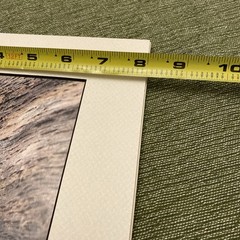 Frog On A Log Art Photograph By WV Photographer Ready To Frame 8×10 Custom Mat