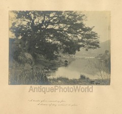 Serene lake landscape antique signed art photo w J.G. Whittier poetry line