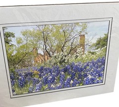 Relics Wildflowers Bluebonnets Photograph Harry Bowden Print Pontotoc Texas Art