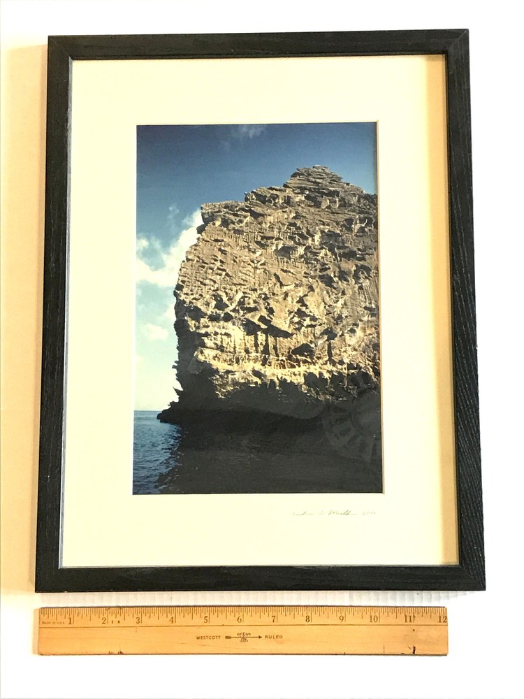 Galapagos photo «Monolith Intaglio» 2/100 Framed 17 x 13 Signed A Mishkin 1997