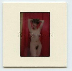 Org Camera Club Nude 1960s 35mm Slide / Negative- Super Endowed Woman- Bow #26