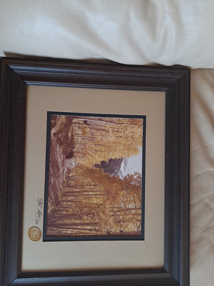 Vintage Framed Colorado Trail ART Photography by Colorado Artist Art Gore Signed