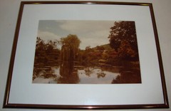 Hanging Weeping Willow Photo In Schneider Custom Frame Pewter Metal Park Nature