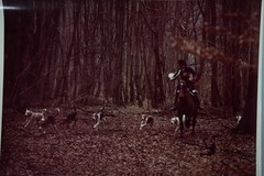 Analog Photo France Hunting Hound Horse 24X30CM 1970