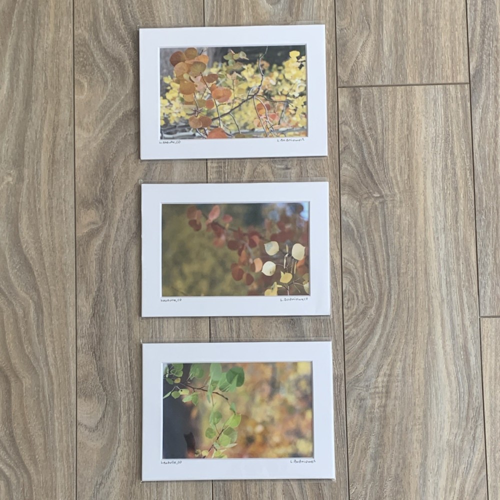 Set of 3 – Fall Colors in Leadville, Colorado Photography Print – Signed Matted