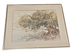 Nature Scene Signed Helen Mitchell Impressionist Landscape Artist Rivers Running