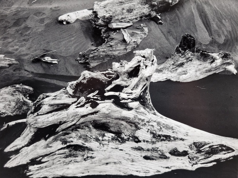 Richard Garrod, gelatin silver B&W photography art original