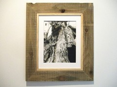 fine art black and white photographs north woods strange