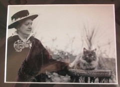 FRAMED BLACK & WHITE PHOTOGRAPH PHOTO PICTURE * WOMAN & KITTY CAT * 12 X 14 IN.