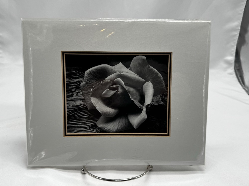 ANSEL ADAMS Art Photo ROSE and DRIFTWOOD 1932 4 X6 Print Matted 8 X 10