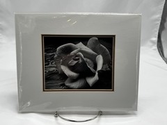 ANSEL ADAMS Art Photo ROSE and DRIFTWOOD 1932 4 X6 Print Matted 8 X 10