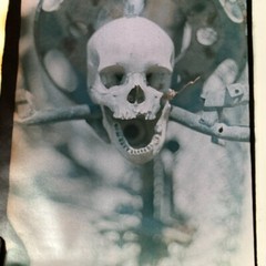 Janine Gordon Photograph 20×24″ C-print Edition Signed Voodoo Skull Haiti Art