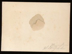 Albumin on Cardboard – View of Munich – Circa 1870s