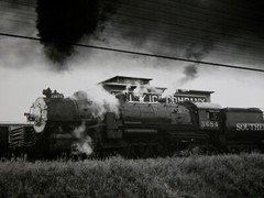 Southern Pacific Engine #X3684 SP Locomotive Station Photograph Vtg 50s Railway