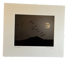 JOHN DAVID GEERY ~ «MOONLIGHT FLIGHT” SIGNED DIGITAL COMPOSITE PHOTO ~ 15” x 13”