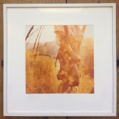 Christopher LaMarca Photograph from the Forest Defenders Series, Signed