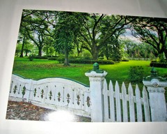 Large Photograph Plantation Louisiana Oak Trees Chimneys Picket Fence Gate 16/24