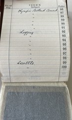 BRITISH COLUMBIA LOGGING CEMENT 1928 100 ORIG NEGATIVES IN ALBUM CANADA PEOPLE