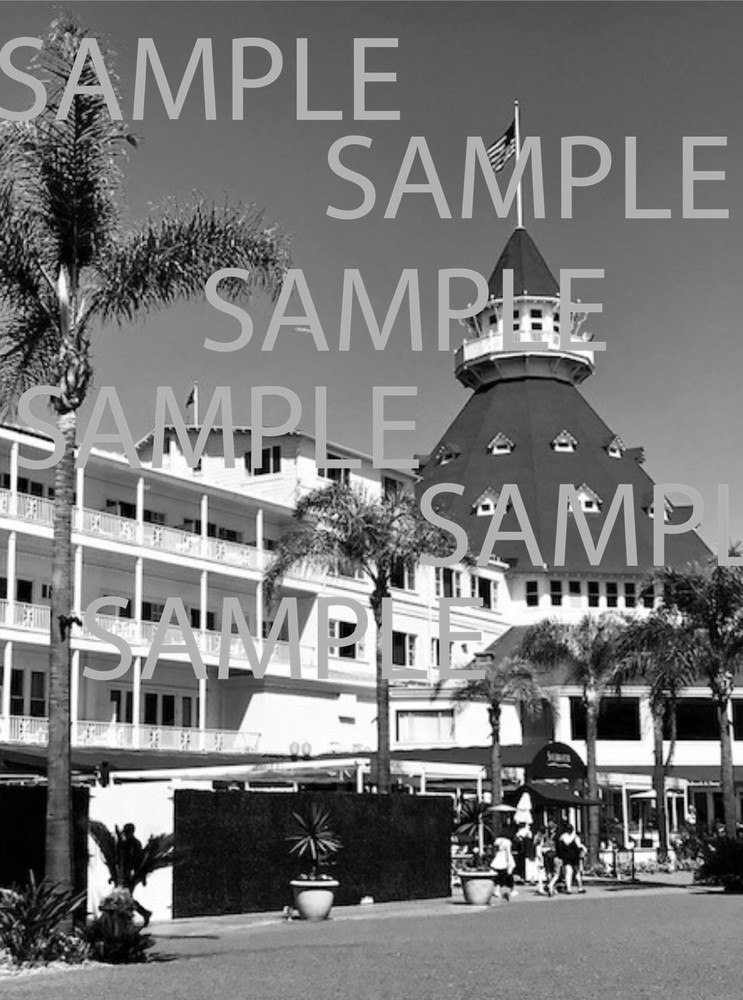 8×10 Photograph San Diego Hotel Del Coronado print Black White Travel oceanside