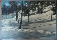 Winter landscape with bird house in snow large antique hand tinted photo
