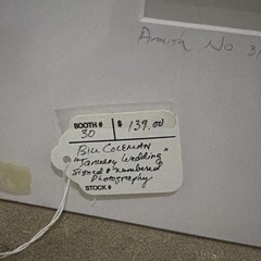 VTG Signed Number184/500 Bill Coleman Photograph AMISH No. 310 January’s Wedding