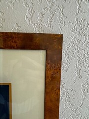 Nicely Framed Set of 2 Photographs of Trees
