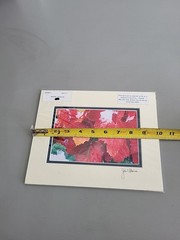 Photography Print By John T Slonina Matted 8×10 «Snow Leaves»-Read Description