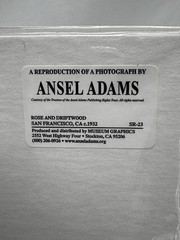 ANSEL ADAMS Art Photo ROSE and DRIFTWOOD 1932 4 X6 Print Matted 8 X 10