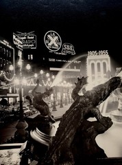 Stunning Midcentury Belgian Photo Brussels Street at Night Neon Signs