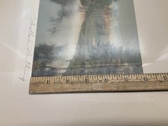 Signed Wallace Nutting “A Barre Brook” Hand Colored Photo ~ Framed