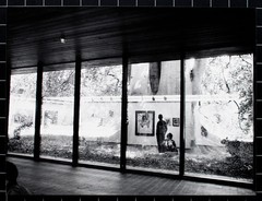 Gisela Franke Berlin Gallery Art Reflection Tree Photography 1980s