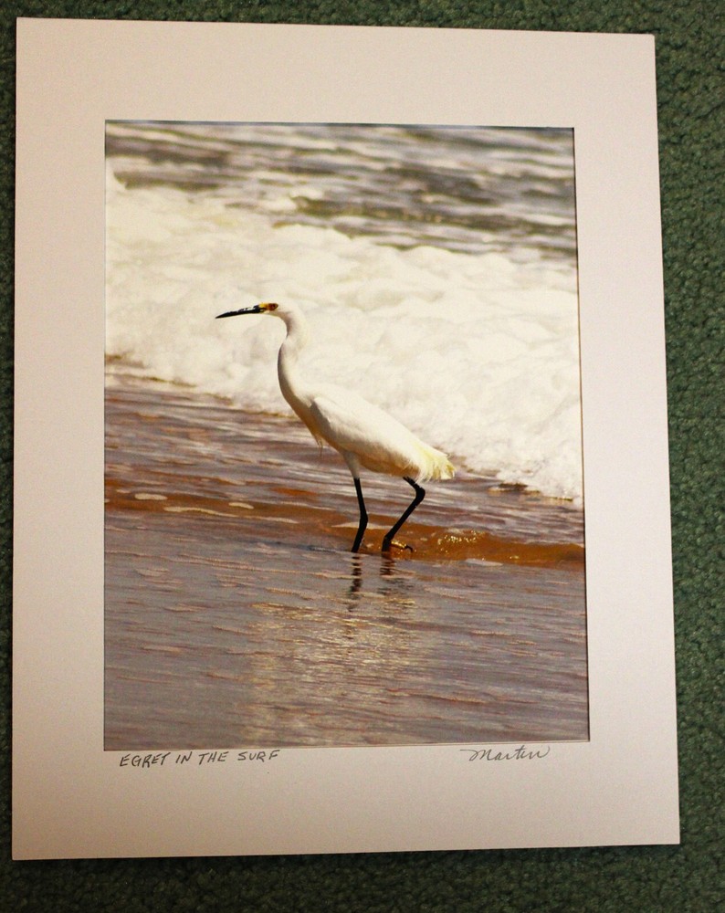 “EGRET in the SURF” ORIGINAL MATTED SIGNED PHOTOGRAPH-BRAND NEW!