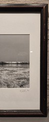Framed Black and white Photograph of an Ocean Wave By Ty Dikhoff created in 1999