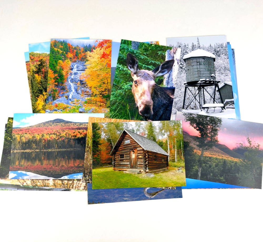 Lot of (19) 5×7 Color Photographs New England Scenic Nature Fall Leaves Animals