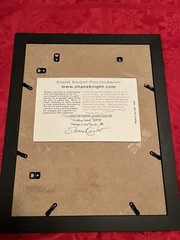 🔥 Shane Knight Saddles Saguaro Lake Ranch Arizona Signed ‘98 Horses Ranch Farm