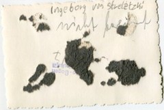 K8360 Foto Berlin Ingeborg von Streletzky Musiker Geige Violine Frau Girl Star