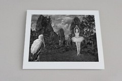 Fine Art B+W Photograph NUDE Ballerina w/ Dagger & Birds Signed Ltd Edition COA