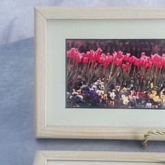 Signed Joseph Barnett Floral Photo Prints Set Maine Artist Framed Garden 6×12