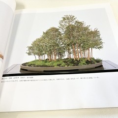 Nihon Bonsai Sakufu Ten 5th 1980 potted plants Japanese tradition art Photo Book