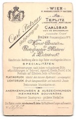 Photograph Carl Pietzner, Vienna, Mariahilferstraße 1, gentleman with full beard