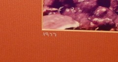 BOB TALBOT HAND SIGNED 1977 COLOR SEASCAPE REEF PHOTOGRAPH