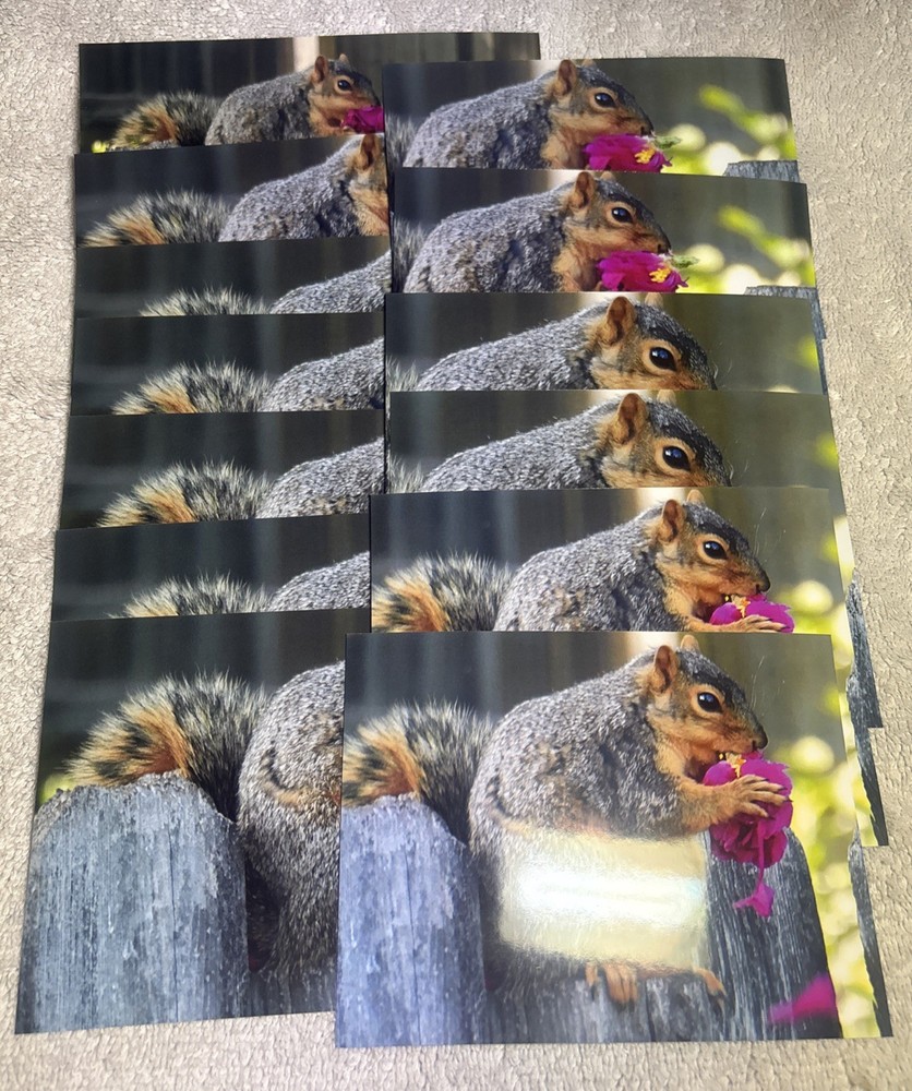 105 Nature Art Photographs 6×4” & 5.25 x4” Vibrant Colorful & 4 Post Cards